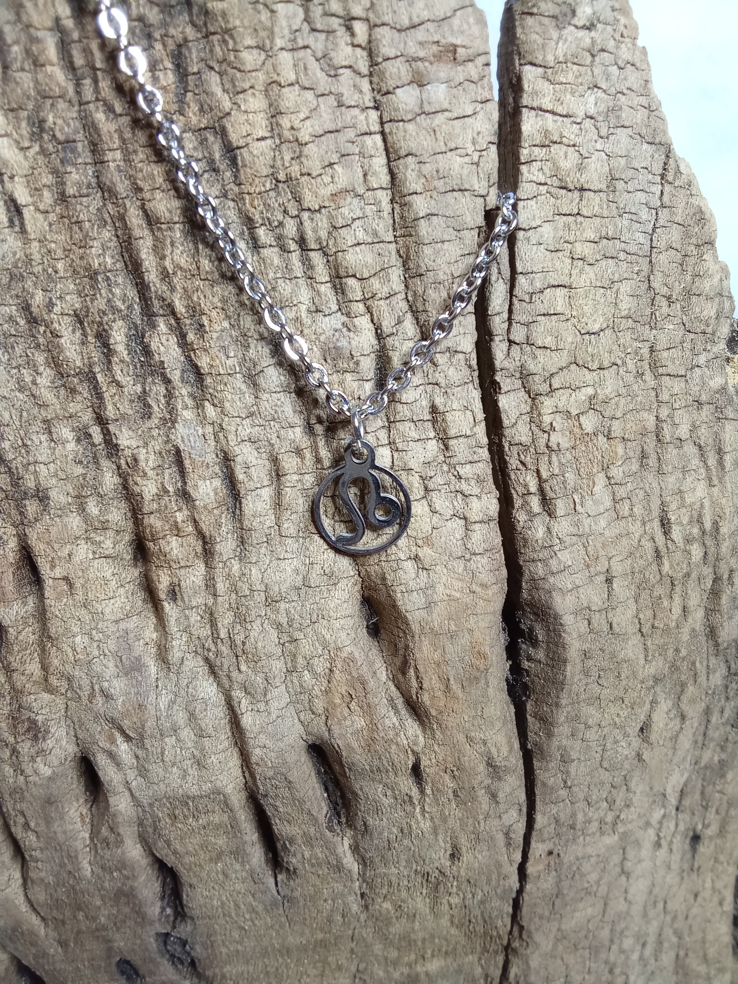 Collier signe du zodiaque Cancer argenté
